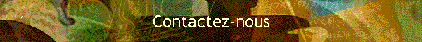 Contactez-nous